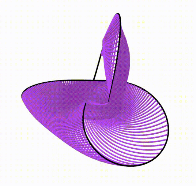noeud-zar-Bi-2