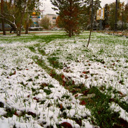 IMG-3551