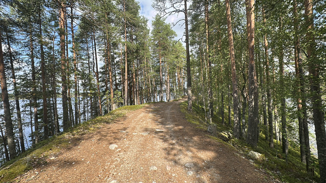 IMG 4585.jpg