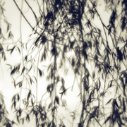 E1-SR9730bw