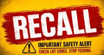 Dog Food Recalled Over Potential Contamination Risk
