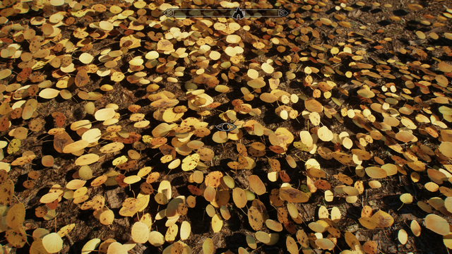 Floating leaves with shadows