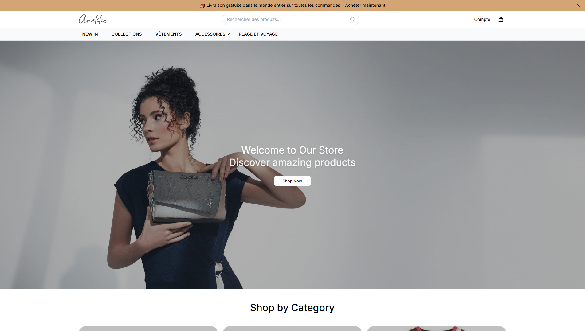 Stored capture of anekkegoods.shop