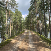IMG 4587