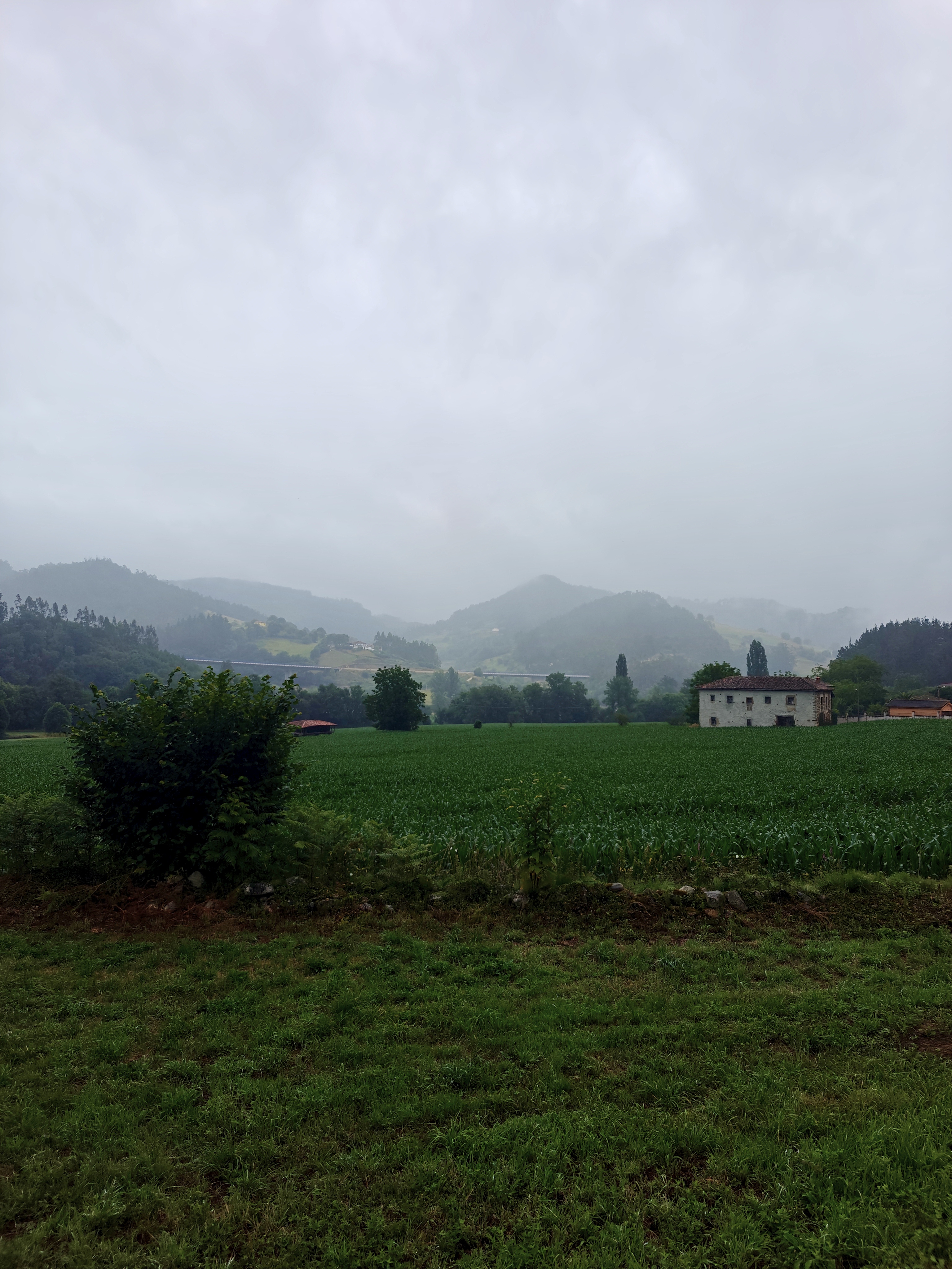 Dag 21 - San Juan de Villapañada 🥏 Bodenaya 4
