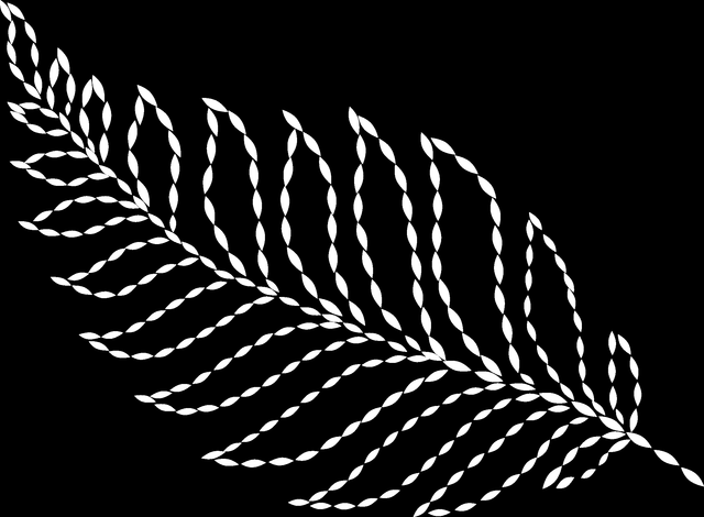 355d9ae1205fbd3ef7cd001f8054ea85.png