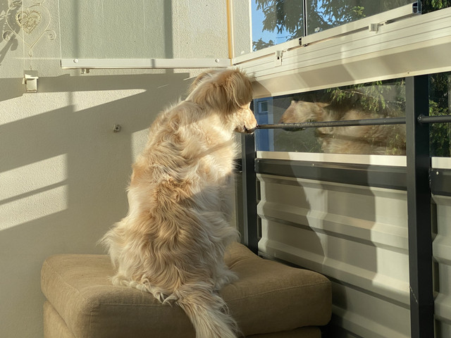 1-E0-FCD15-A6-F3-4-AB4-95-A7-9-ABFD25-EF