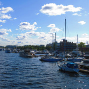 IMG-0458