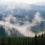 IPB Image