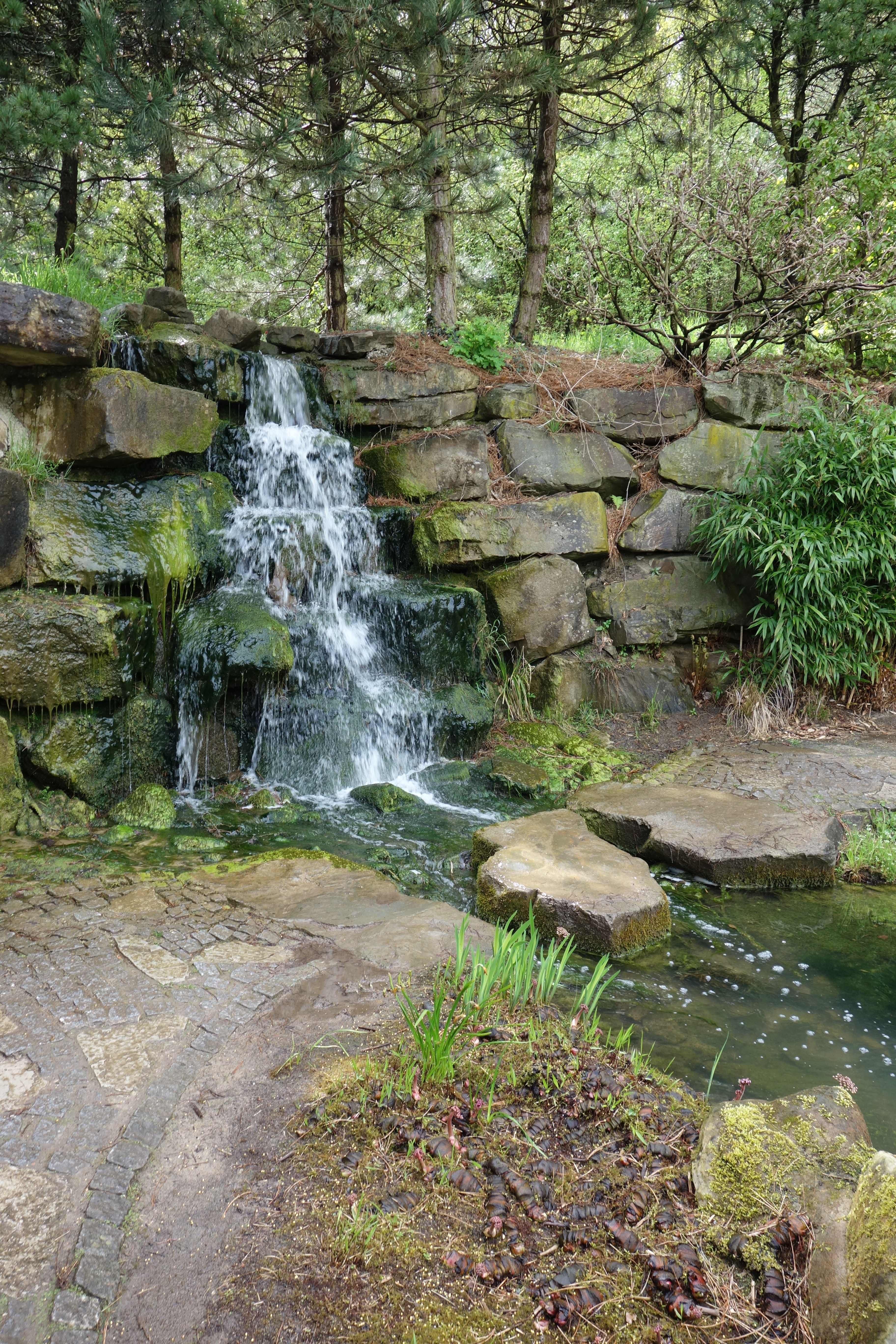 DSC00629