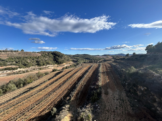 Domaine Ametller, Mas Mustardó