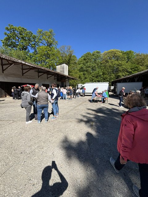 IMG 3335.jpg