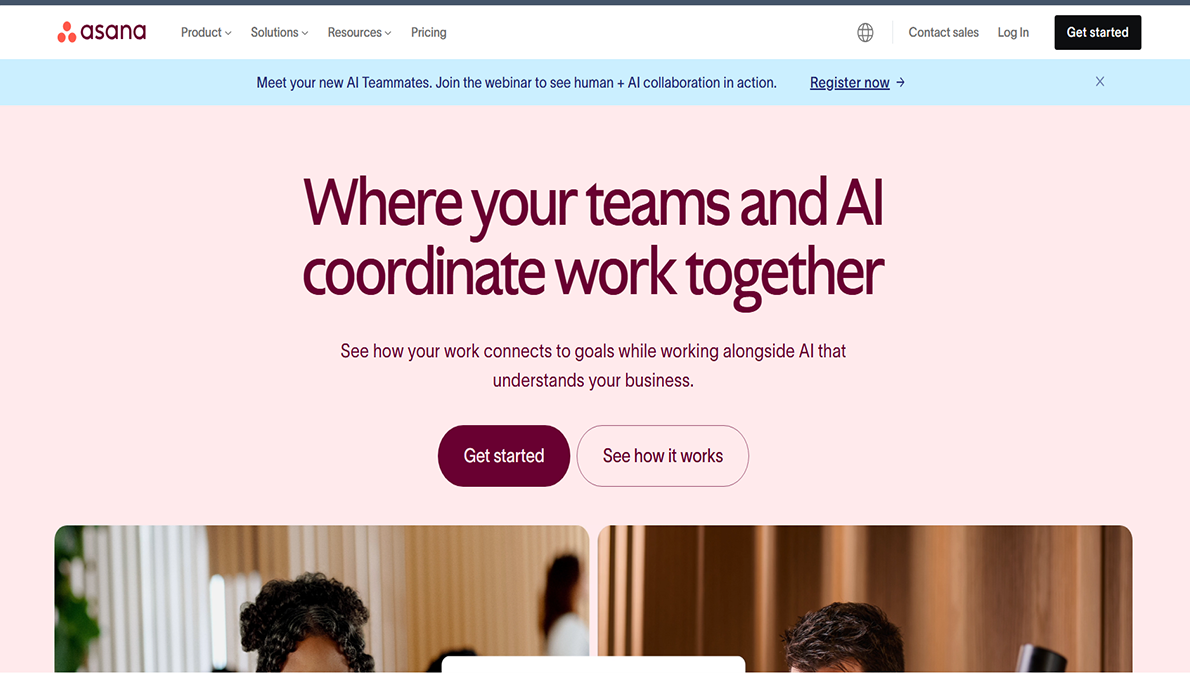 Asana Interface Preview