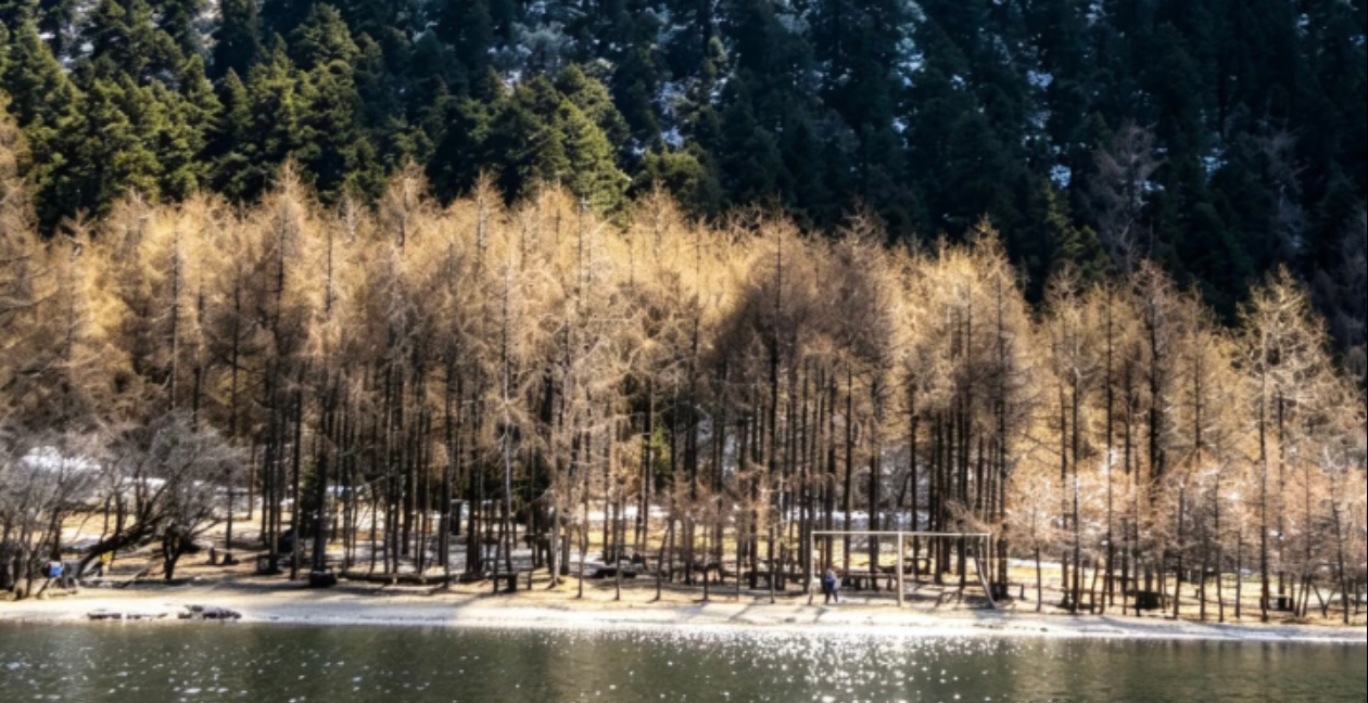 Alpine lakes and autumn forest in Bipenggou, Western Sichuan