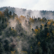 IPB Image