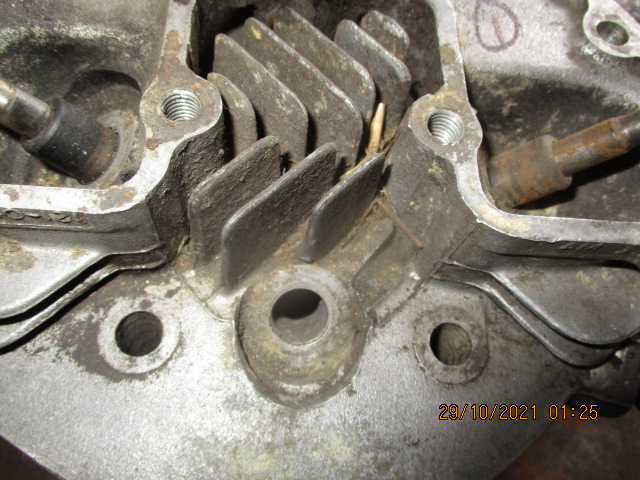 IMG-8961.jpg