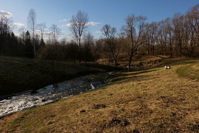 DSCF2115a.jpg