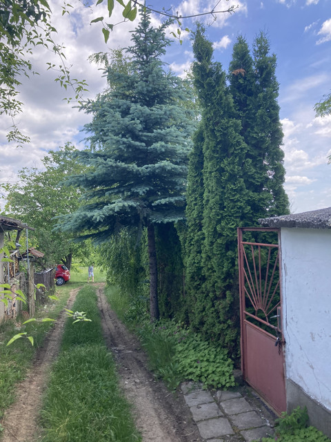 IMG-0420