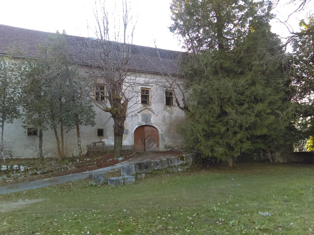 IMAG2282