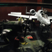 IMG 3101