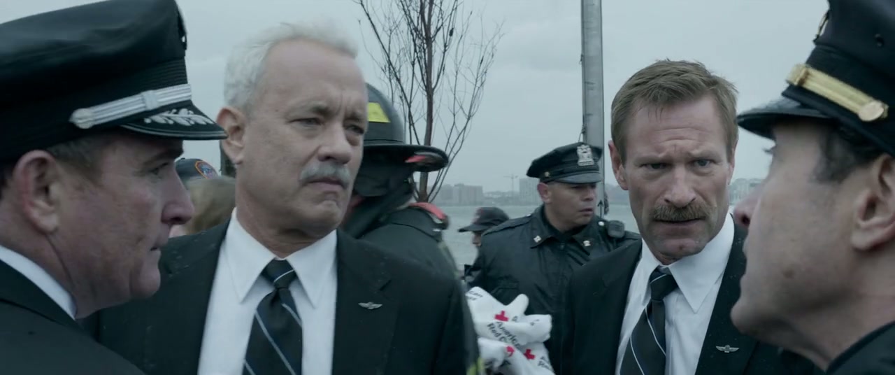 Sully Screenshot
