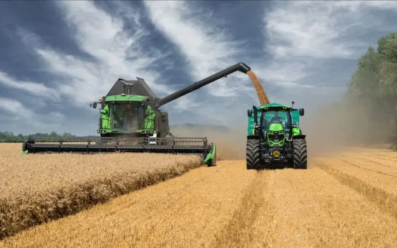 Maroc : 90 millions de quintaux de céréales, après 7 ans de sécheresse, la renaissance agricole