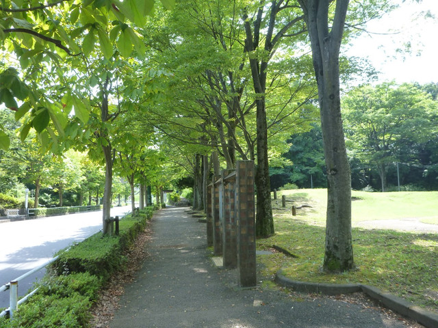 P1340858.jpg