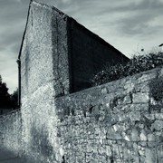 DSCF1357