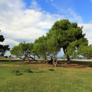 IMG-9853
