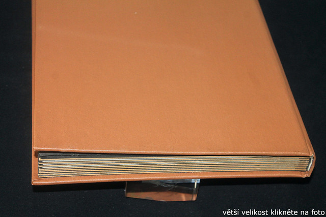 IMG-2626.jpg
