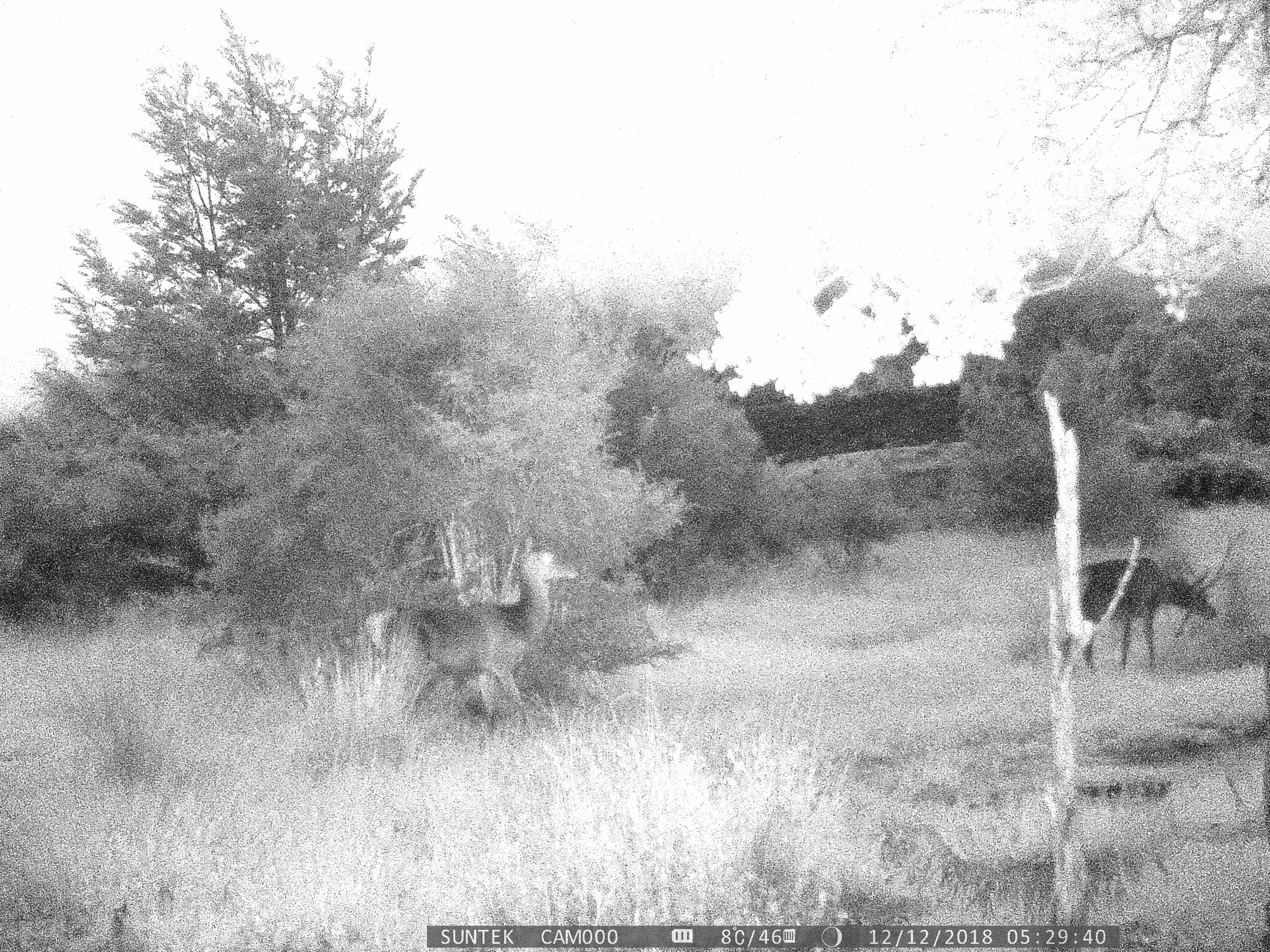 047.jpg