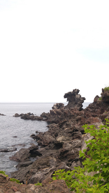 20170515 133412.jpg