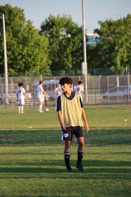 IMG-0133.jpg