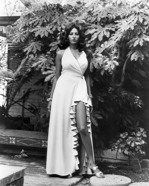 PAM-GRIER-CHAMP