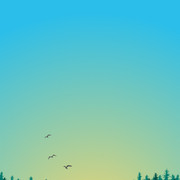 Landscape8