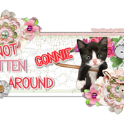connie-LE-mcban