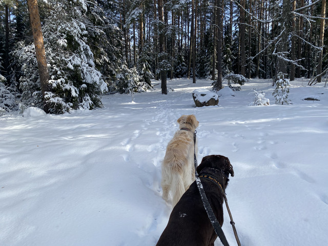 59-F85801-E503-45-C2-9-A58-8-EC38-AE3-A9