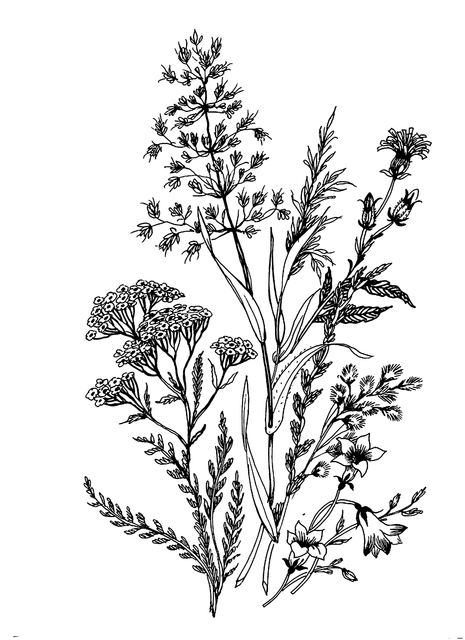 ebe103ec524b6bf40e8abeabaebe42b6