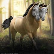 Webp-net-compress-image-11