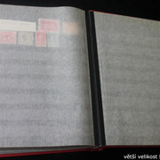 IMG-3457