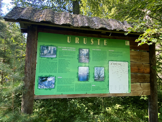 IMG-2300