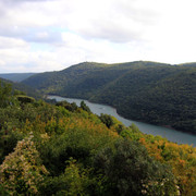 IMG-9561