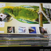 IMG-7709