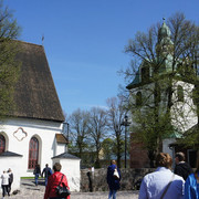 DSC02461