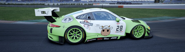 COWCOTLAND-Porsche-991-GT3-R-4