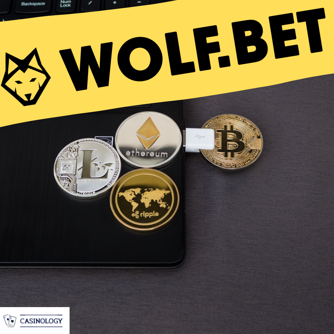 Виды криптовалют которые принимает онлайн казино Wolf бет