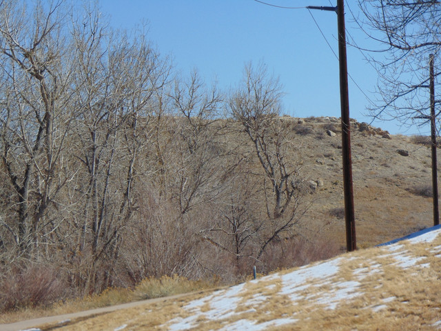DSC00182