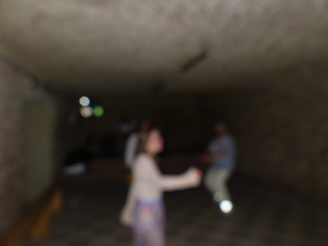 P1100805.jpg