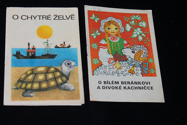 IMG-2569.jpg