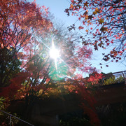 IMG-20221125-113138